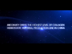 MICONVEY কোম্পানির ভূমিকা